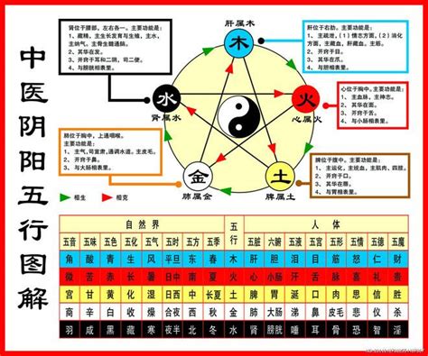 5行相生相克|一分钟记住，五行相生相克。